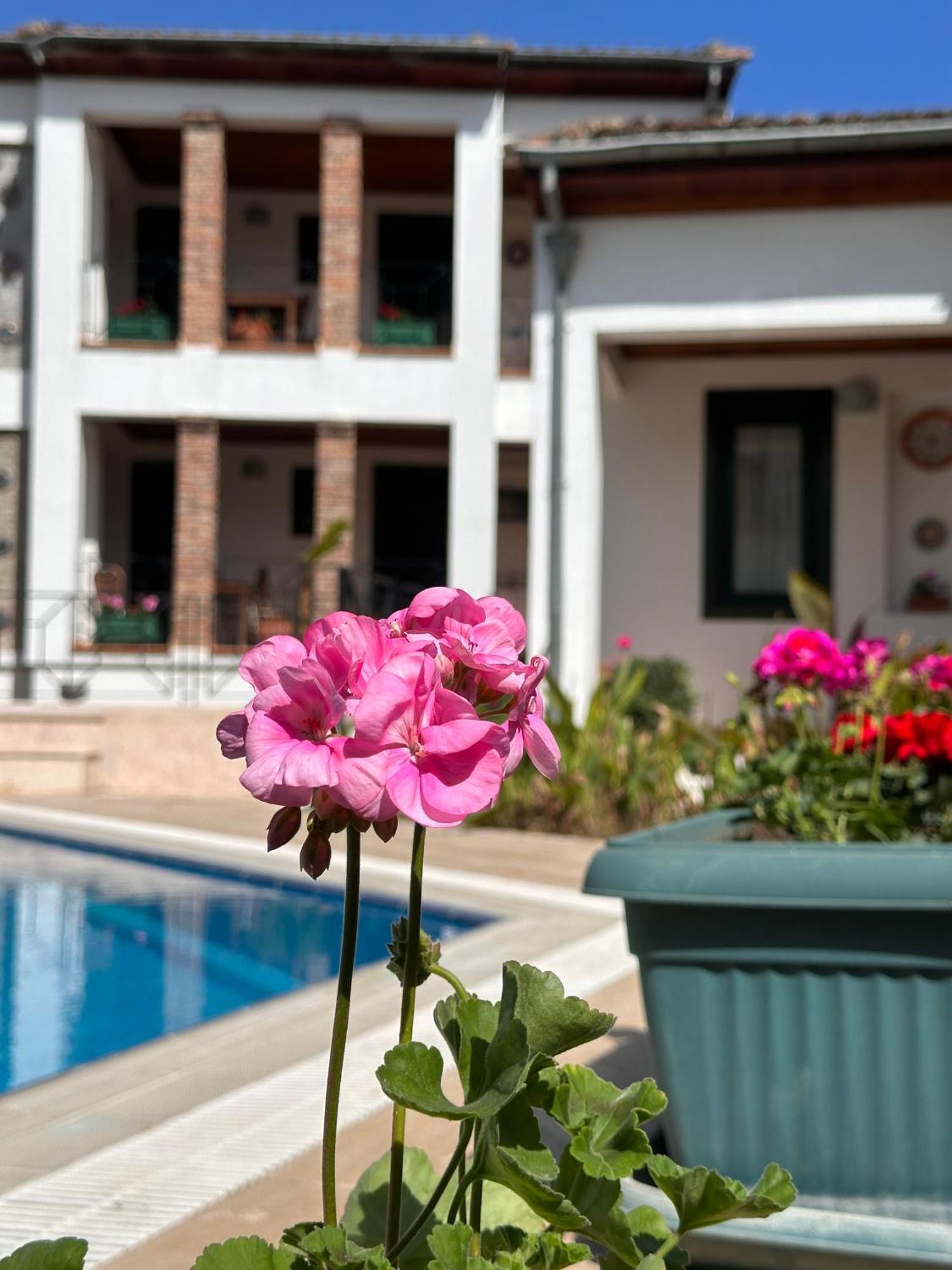 Akay Hotel Selçuk Bagian luar foto